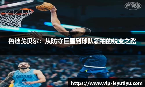 乐鱼体育