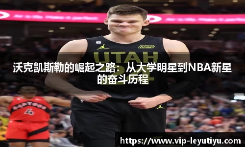 乐鱼体育官方网站
